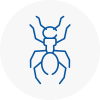 Ant Removals In Sefton