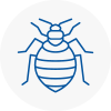Bed Bug Extermination In Sefton