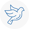 Bird Prevention Sefton