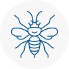 Sefton Hornet Nest Removals