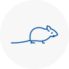 Mice Exterminators In Sefton