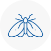 Moth Control Specialists In Sefton