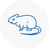 Rat Control Sefton