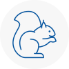Sefton Rodent Removals