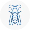 Sefton Wasp Nest Removal